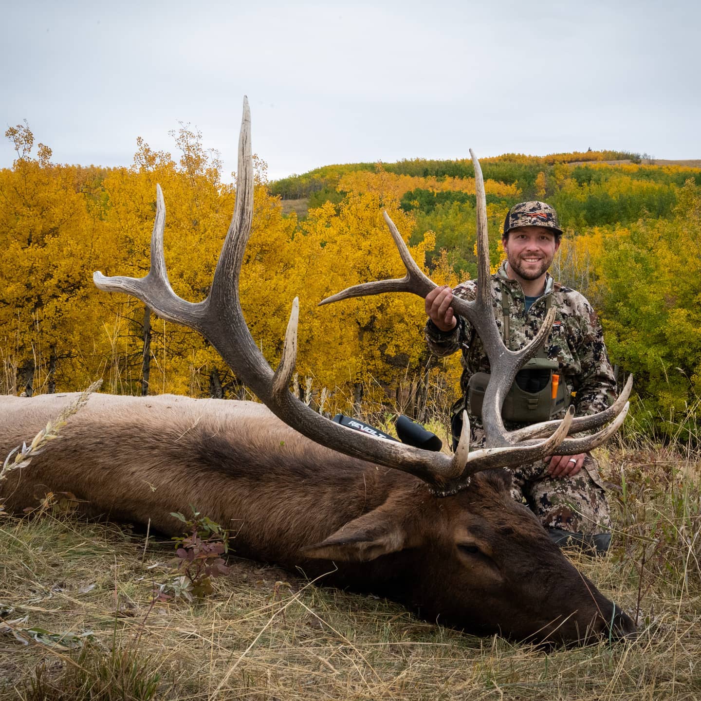 Elk Kill with Hunter
